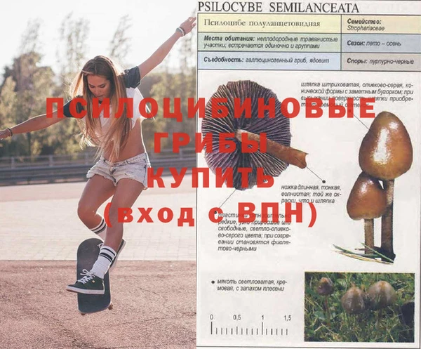 СК Волоколамск